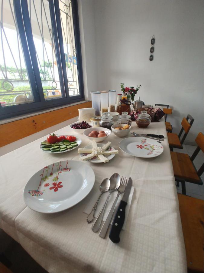 Garden Shkodër