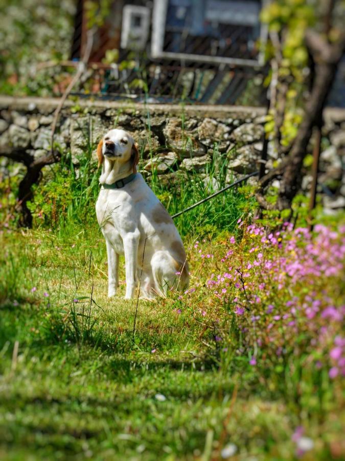 Garden 3*