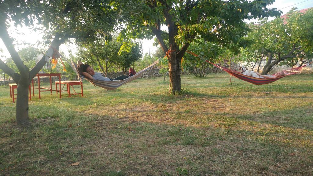 Garden 3* Shkodër